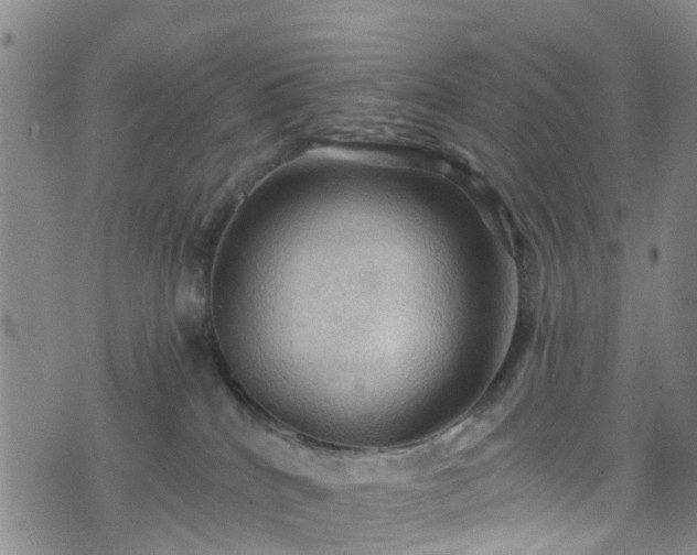 X0000075820040200609221345