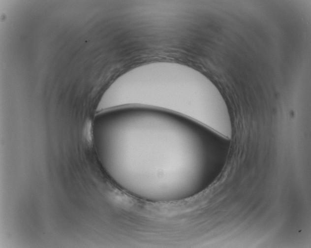 X0000075820041200609221345