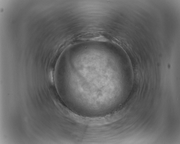 X0000075820042200609221345