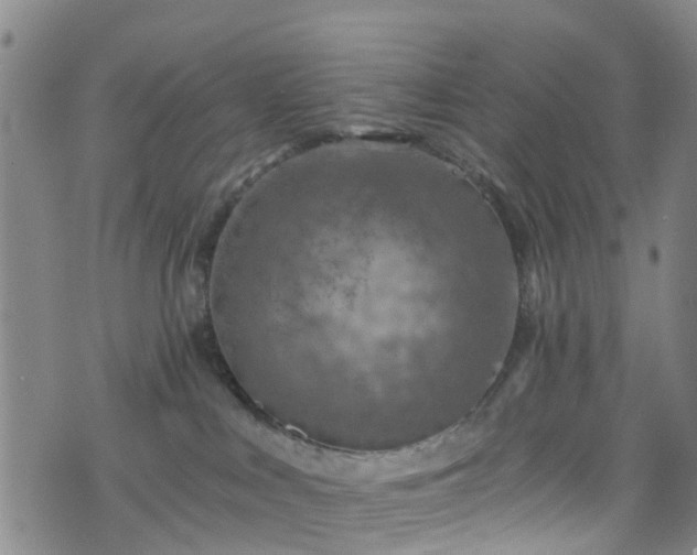 X0000075820043200609221345