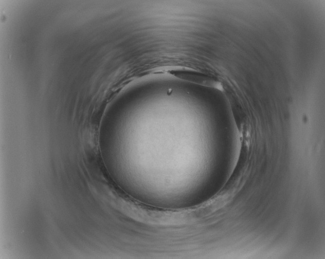 X0000075820044200609221345