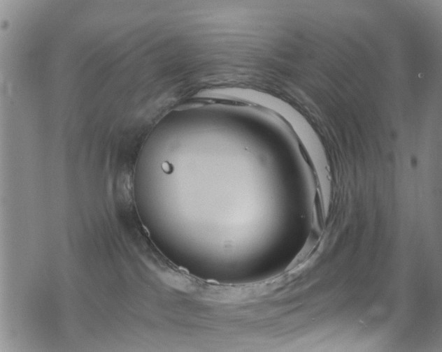 X0000075820045200609221345