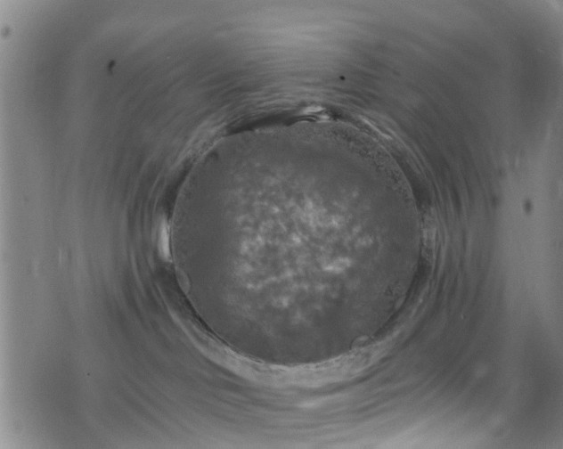 X0000075820046200609221345