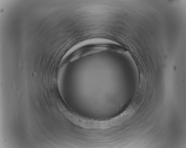 X0000075820048200609221345