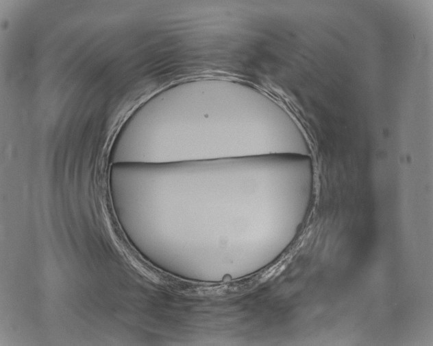 X0000075820049200609221344