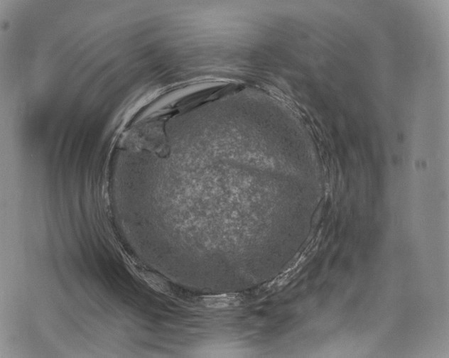 X0000075820050200609221344