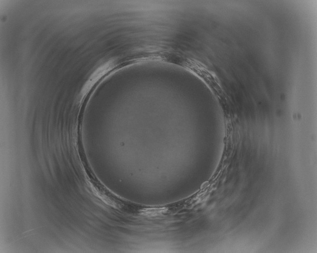 X0000075820051200609221344