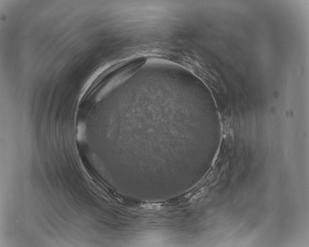 X0000075820052200609221344