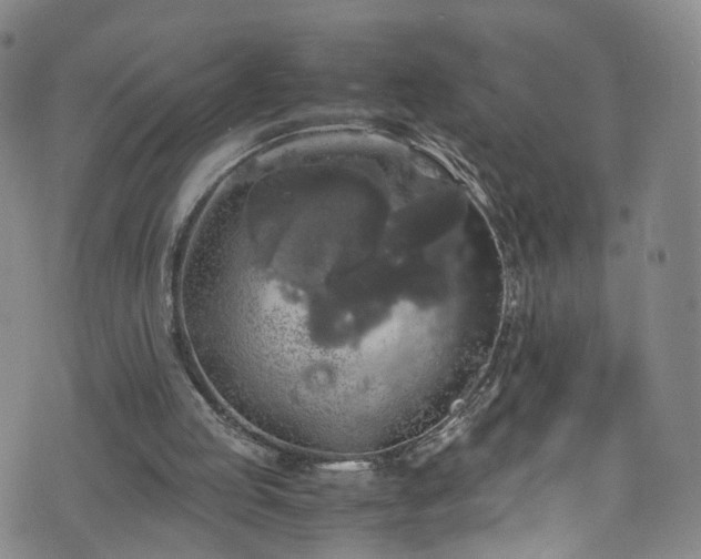 X0000075820053200609221344