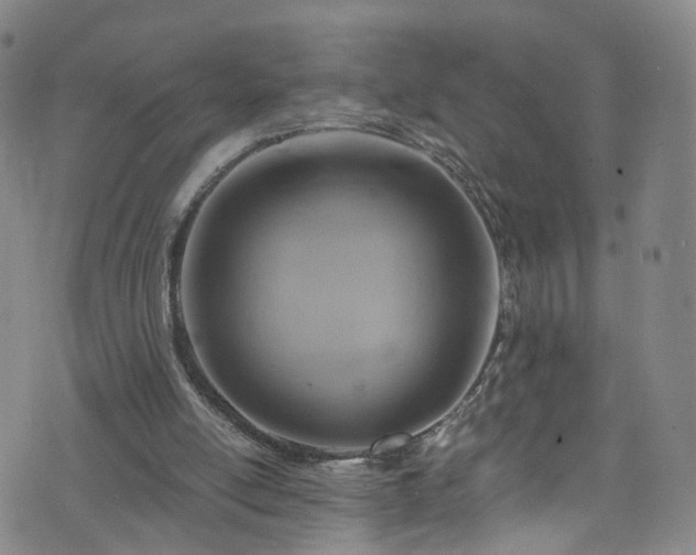 X0000075820054200609221344