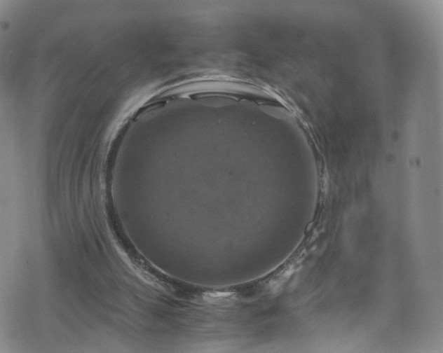 X0000075820055200609221344