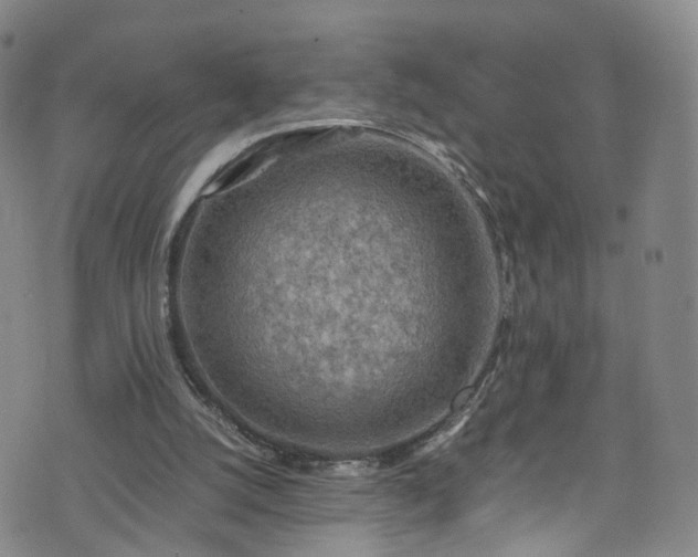 X0000075820056200609221344