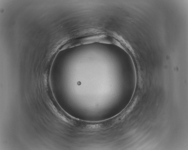 X0000075820057200609221344