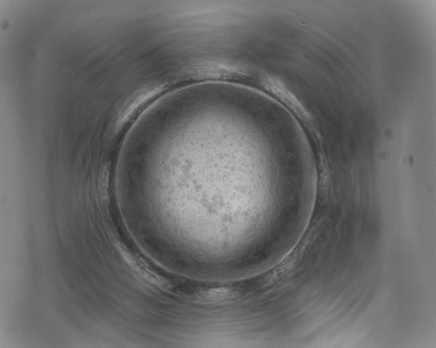 X0000075820058200609221344