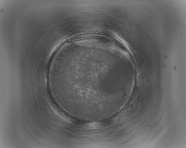 X0000075820059200609221344