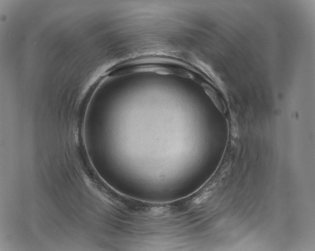 X0000075820060200609221344