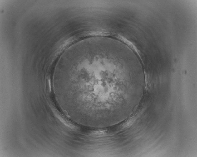 X0000075820061200609221344