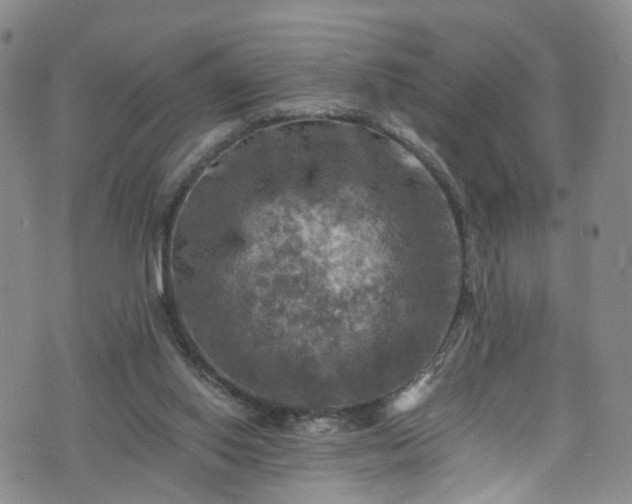 X0000075820062200609221344