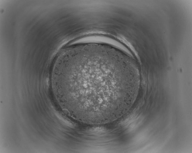 X0000075820063200609221344