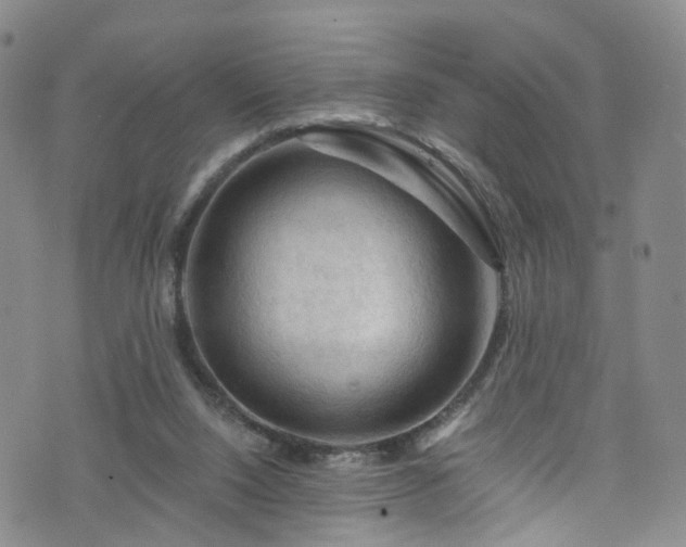 X0000075820064200609221344