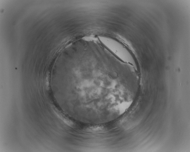 X0000075820065200609221344