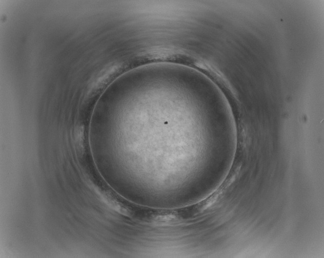 X0000075820066200609221344