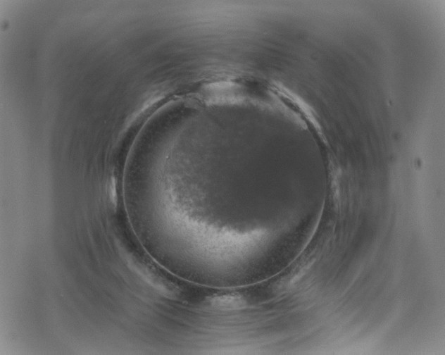 X0000075820067200609221344