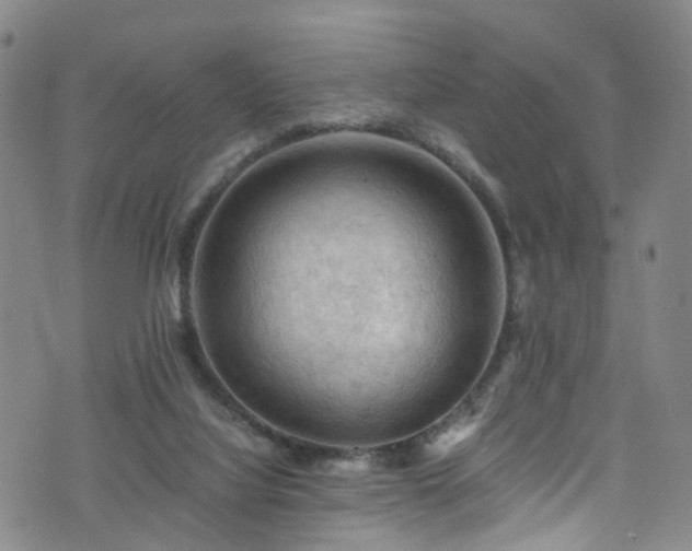 X0000075820068200609221344