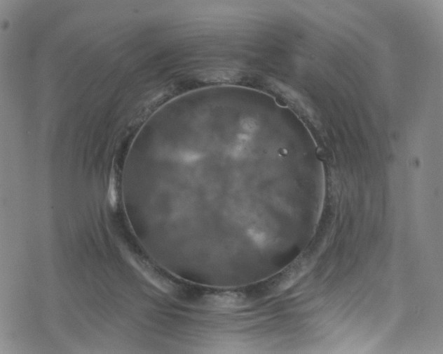 X0000075820069200609221344