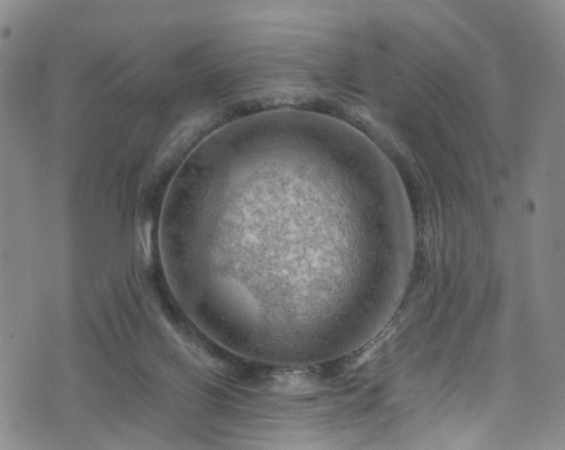 X0000075820070200609221344