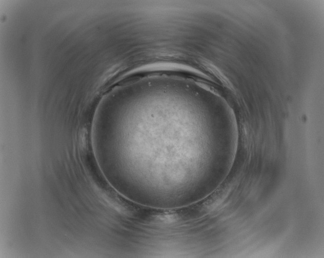 X0000075820071200609221344