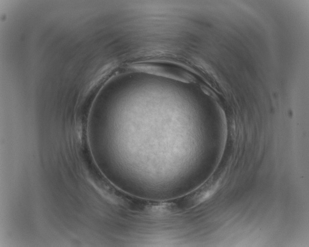 X0000075820072200609221344