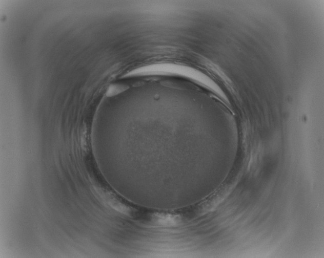 X0000075820073200609221344