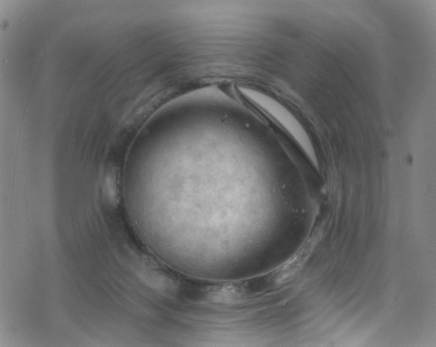 X0000075820074200609221344