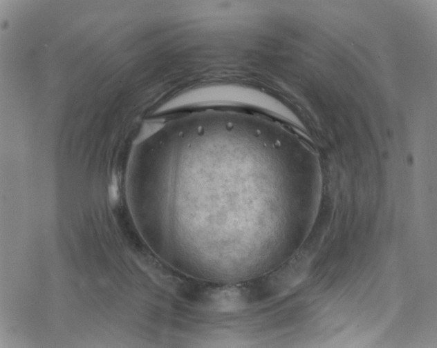 X0000075820075200609221344