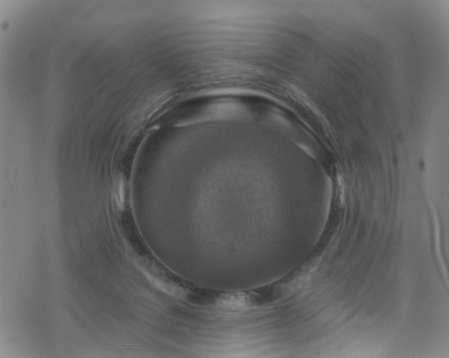 X0000075820076200609221344