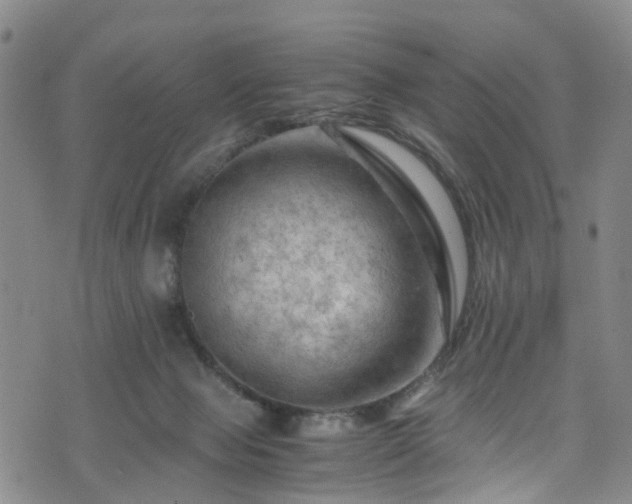 X0000075820077200609221344