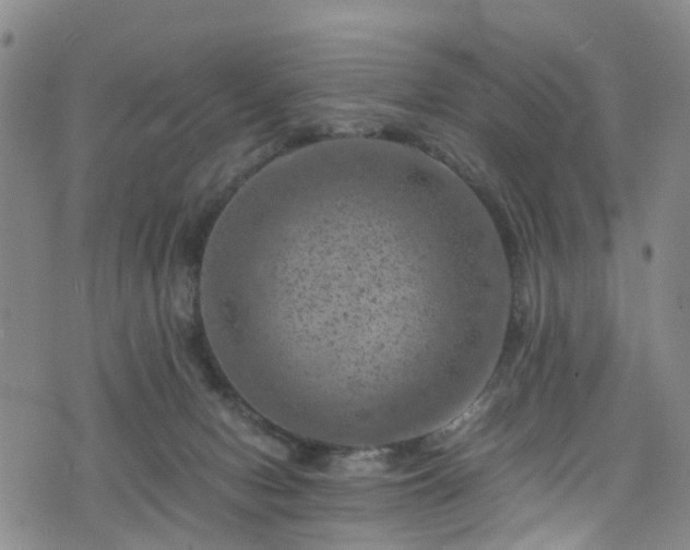 X0000075820078200609221344