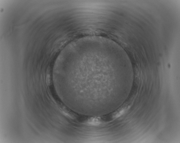 X0000075820080200609221344