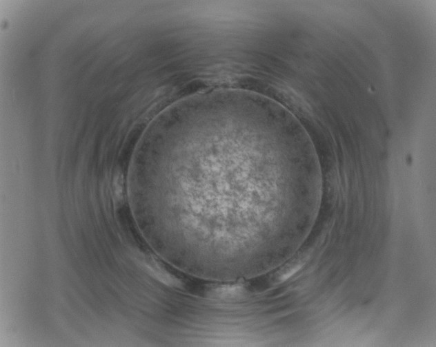 X0000075820081200609221344