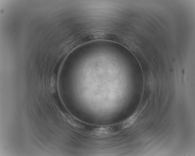 X0000075820082200609221344