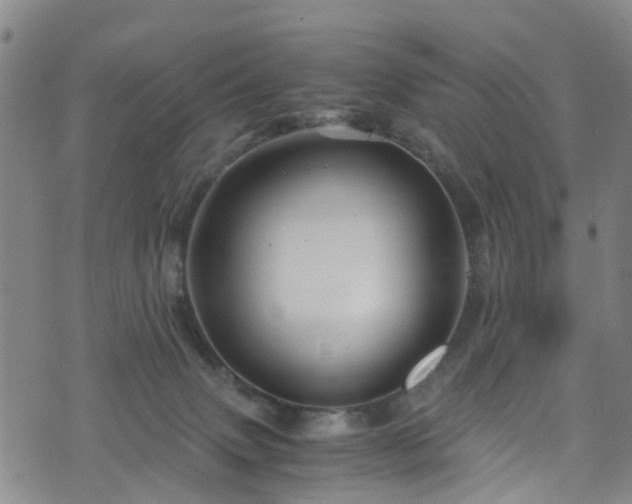 X0000075820083200609221344