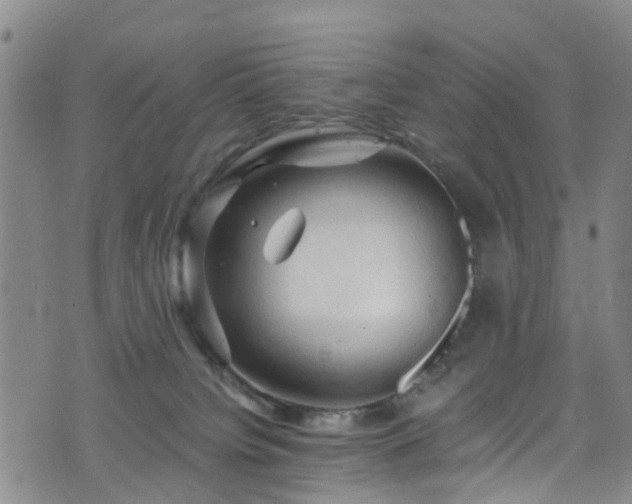 X0000075820084200609221344