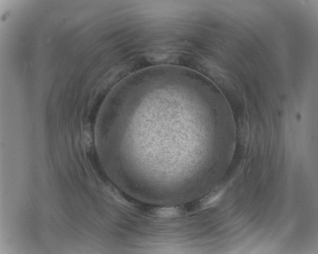 X0000075820085200609221344