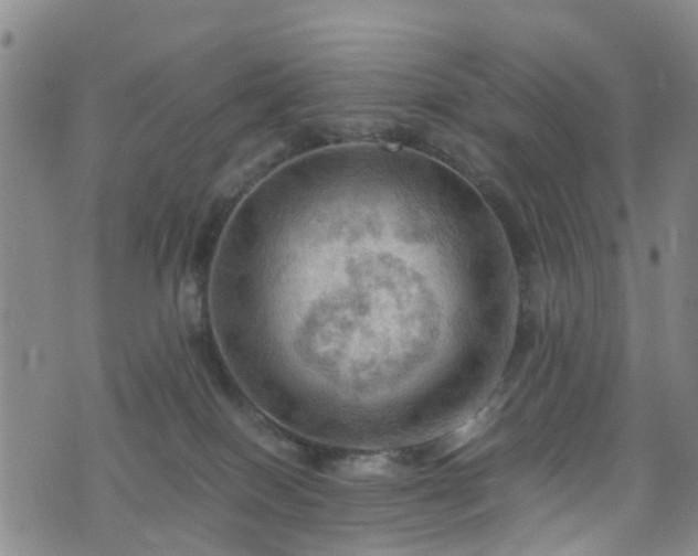 X0000075820086200609221344