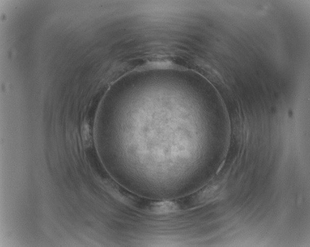 X0000075820087200609221344