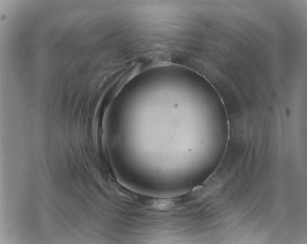 X0000075820088200609221344