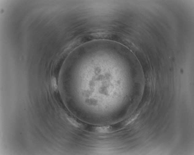 X0000075820089200609221345