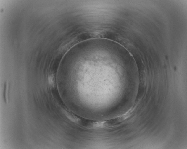 X0000075820090200609221345