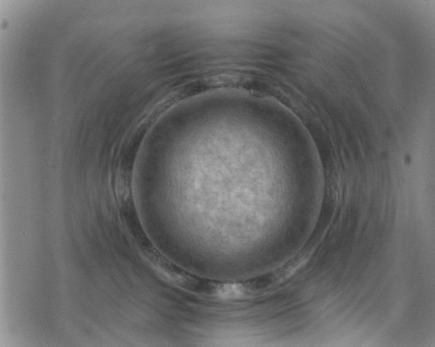 X0000075820091200609221345